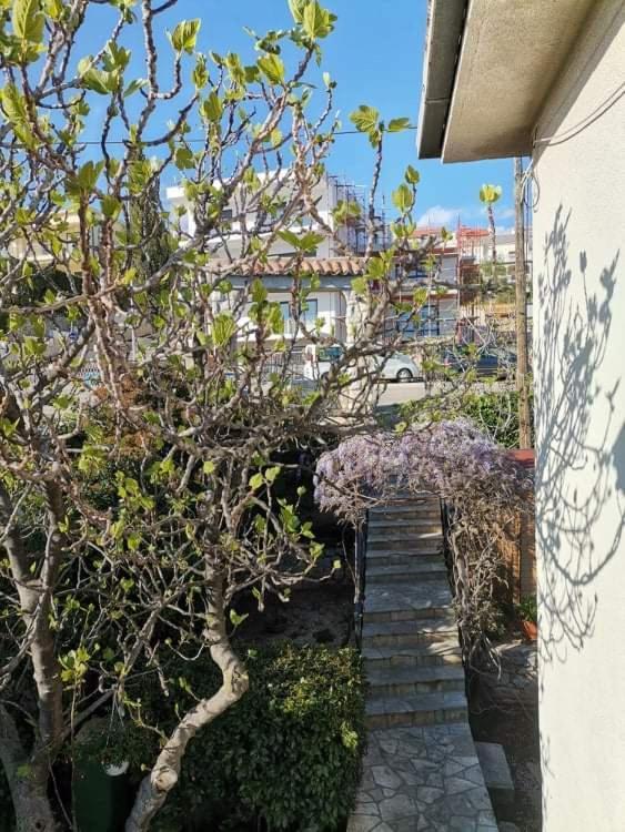 Guest House Sunce Novi Vinodolski Exterior foto